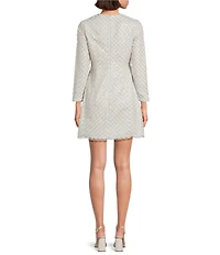 tyler boe Jacquilyn Round Neck Long Sleeve Pleated Mini Dress