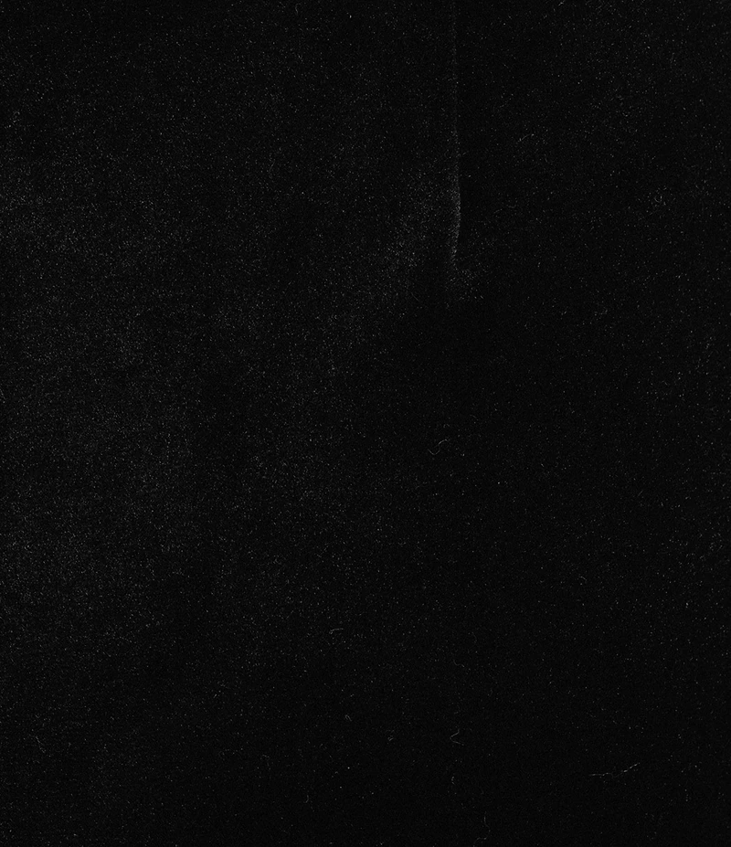 tyler boe Kathy Velvet Flat Front Straight Leg Pants