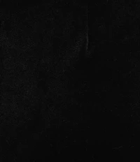 tyler boe Kathy Velvet Flat Front Straight Leg Pants