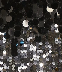 tyler boe Sandra Sequin Pailette Scoop Neck Long Sleeve Tunic