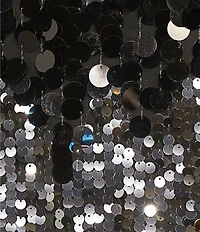 tyler boe Sandra Sequin Pailette Scoop Neck Long Sleeve Tunic