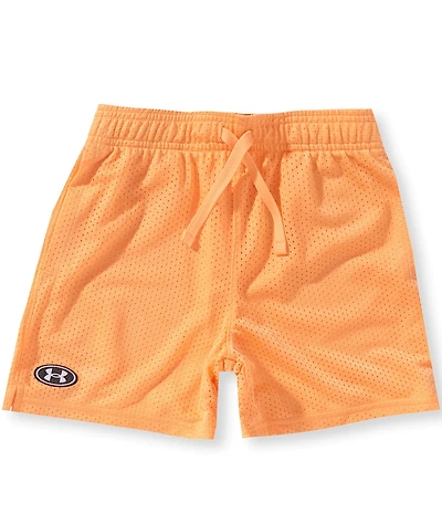 Under Armour Big Boys Icon Mesh Shorts