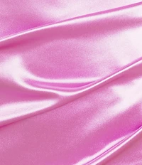 Honey and Rosie V-Neck Pleated Side Slit Corset Gown