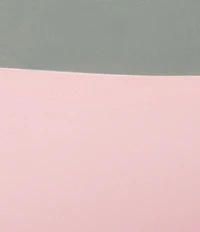 VAN WINKLE & CO. Stretch Microfiber Bonded Mid Rise Thong Panties