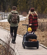 Veer Retractable Canopy Attachment for Cruiser