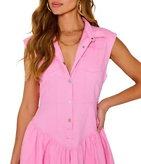 VICI Collection Collared Button Down Cap Sleeve Drop Waist Mini Dress