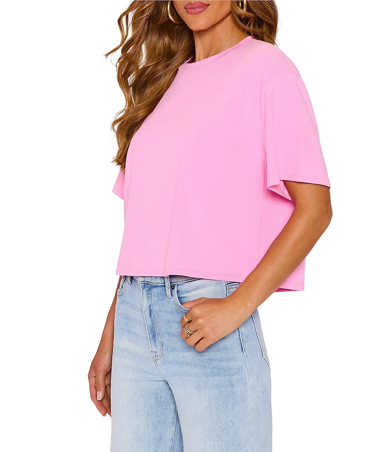 VICI Collection Crew Neck Short Sleeve Oversized Crop Tee