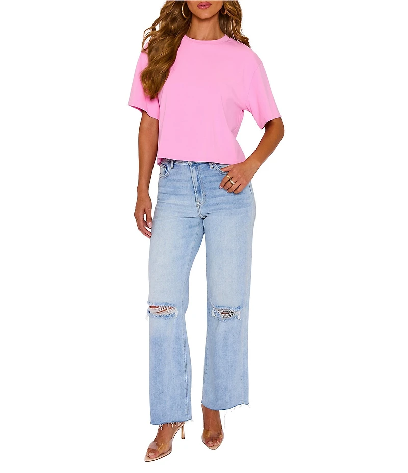 VICI Collection Crew Neck Short Sleeve Oversized Crop Tee