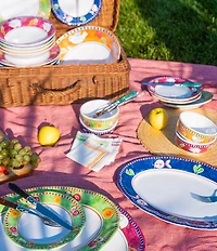 VIETRI Melmine Campagna Chicken Gallina Print Dinner Plate