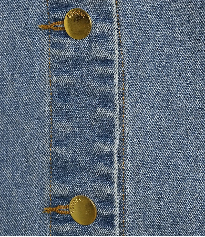 Vigoss Sleeveless Denim Dress