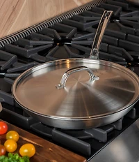 Viking Professional 5-Ply Satin Covered Eterna Nonstick Fry Pan