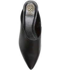 Vince Camuto Arlette Leather Pointed Toe Mules