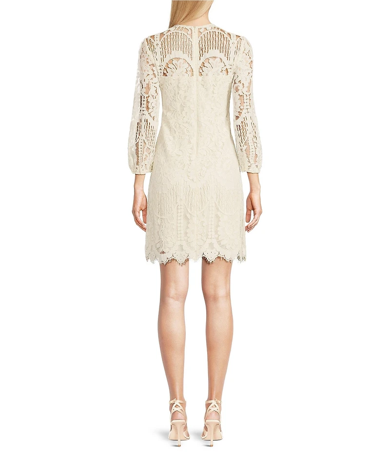 Vince Camuto Crew Neck 3/4 Sleeve Lace Illusion Shift Dress