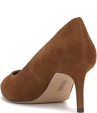 Vince Camuto Kehlia Suede Pointed Toe Pumps