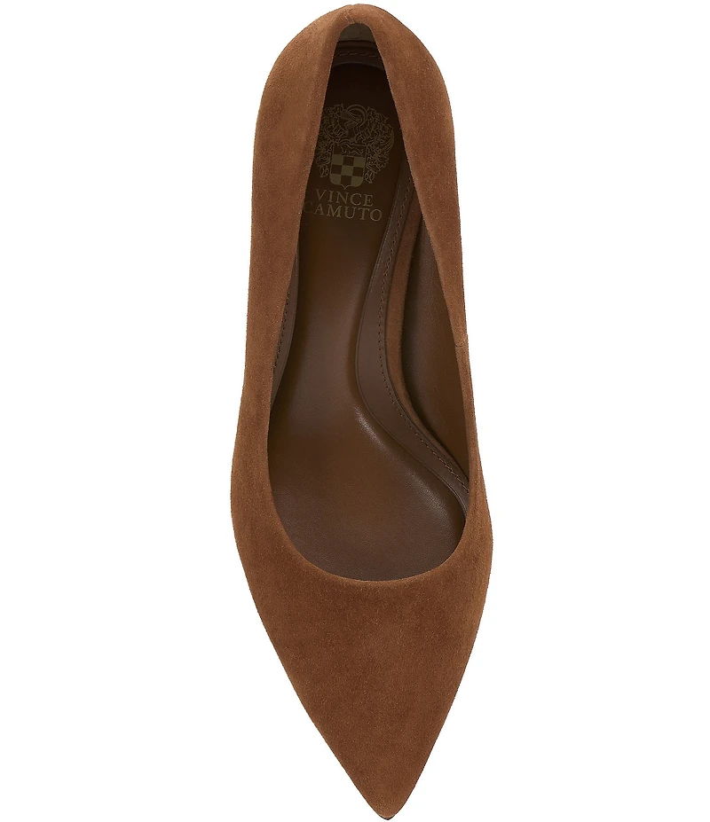 Vince Camuto Kehlia Suede Pointed Toe Pumps