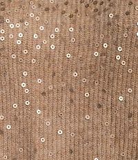 Vince Camuto Sequin Round Neck Long Sleeve Sweater