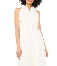 Vince Camuto Woven Point Collar Sleeveless Belted Maxi Dress