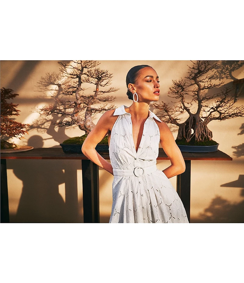 Vince Camuto Woven Point Collar Sleeveless Belted Maxi Dress