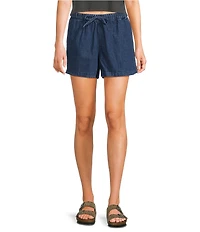 Volcom Stoneshine Shorts