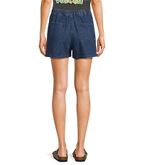 Volcom Stoneshine Shorts