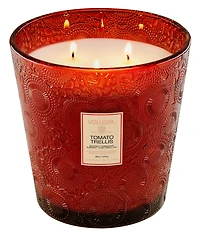 Voluspa Japonica Collection Tomato Trellis 3-Wick Hearth Candle