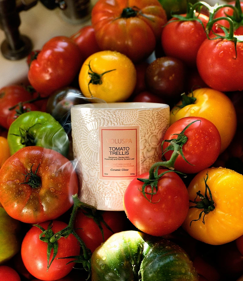 Voluspa Japonica Collection Tomato Trellis Ceramic Luxe Classic Candle