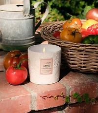Voluspa Japonica Collection Tomato Trellis Ceramic Luxe Classic Candle