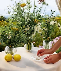 Waterford Circon Collection Crystal Vase, 6#double;