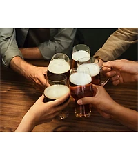Waterford Craft Brew IPA Glasses, Set of 2