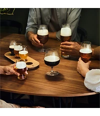 Waterford Craft Brew Stemmed Beer Glass, Set of 2