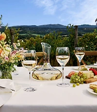 Waterford Elegance Sauvignon Blanc Glass 13.5floz, Set of 2