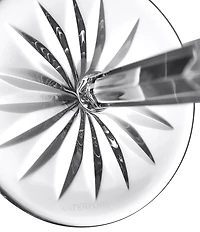 Waterford Lismore Martini Glass 7floz, Set of 2