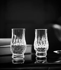 Waterford Connoisseur Lismore Footed Tasting Tumbler 6floz, Set of 2