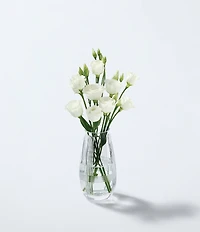 Waterford Marquis by Waterford Vector Bud Vase, 6.1#double;