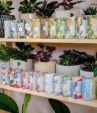 Wavertree & London Beach Soap