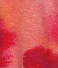 Westbound Floral Print 3/4 Sleeve Knit Crew Neck Top