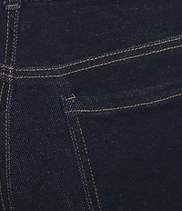 Westbound Plus High Rise Pull-On Skinny Jeans