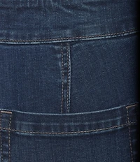 Westbound Plus High Rise Straight Leg Pull-On Pants