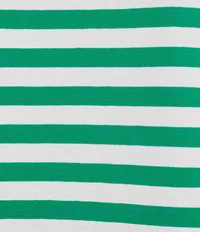 Westbound Stripe Print 3/4 Sleeve Crew Neck Top