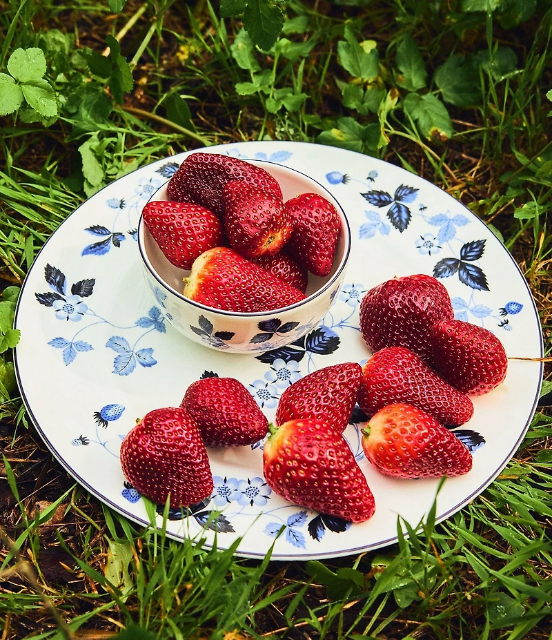 Wild Strawberry Inky Blue Dinner Plate