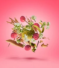 Xerjoff Elle Anniversary Parfum