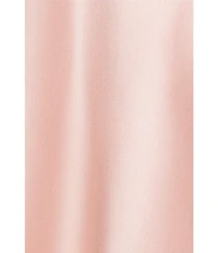 Xscape Satin Long Chiffon Overlay Dress