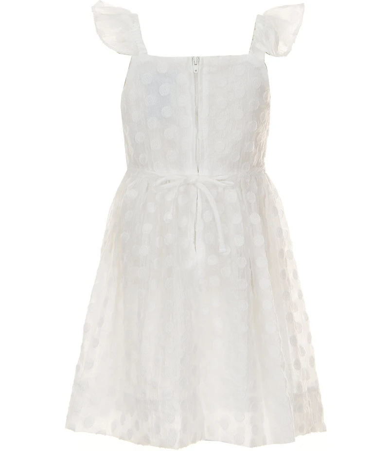 Xtraordinary Little Girls Flutter-Sleeve Clip-Dot Organza Fit-And-Flare Dress