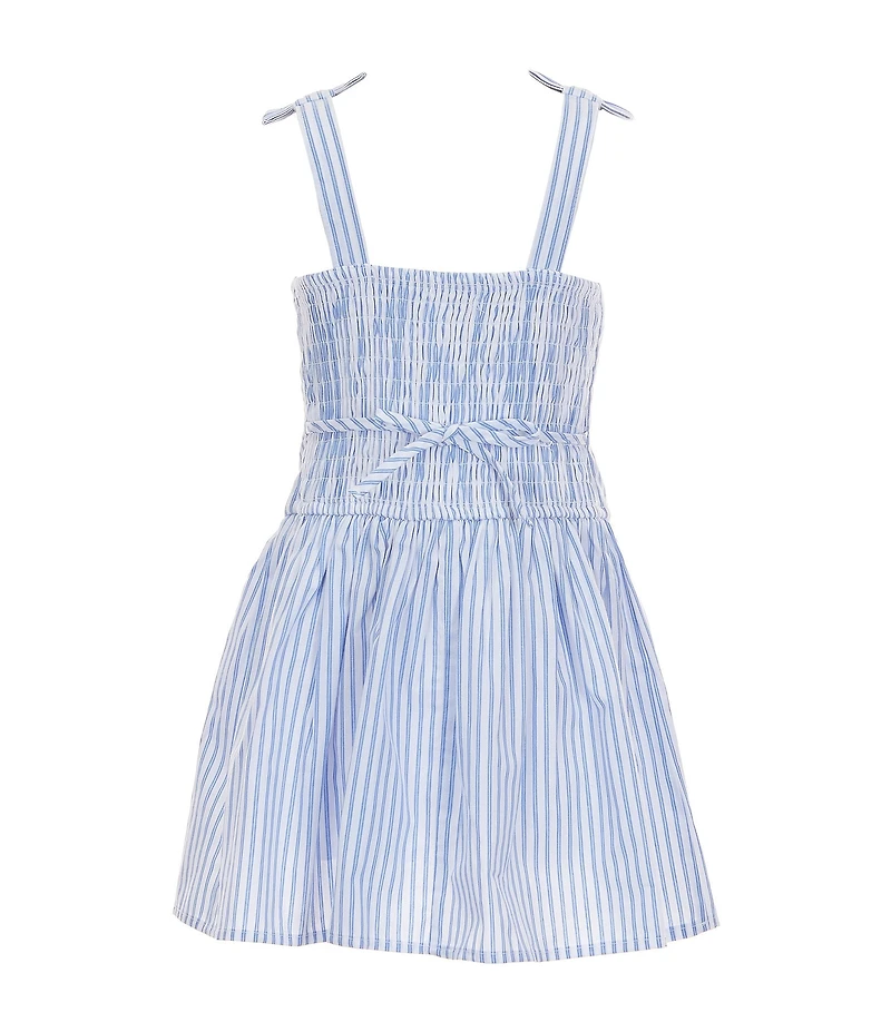 Xtraordinary Little Girls Sleeveless Striped Poplin Drop-Waist Dress