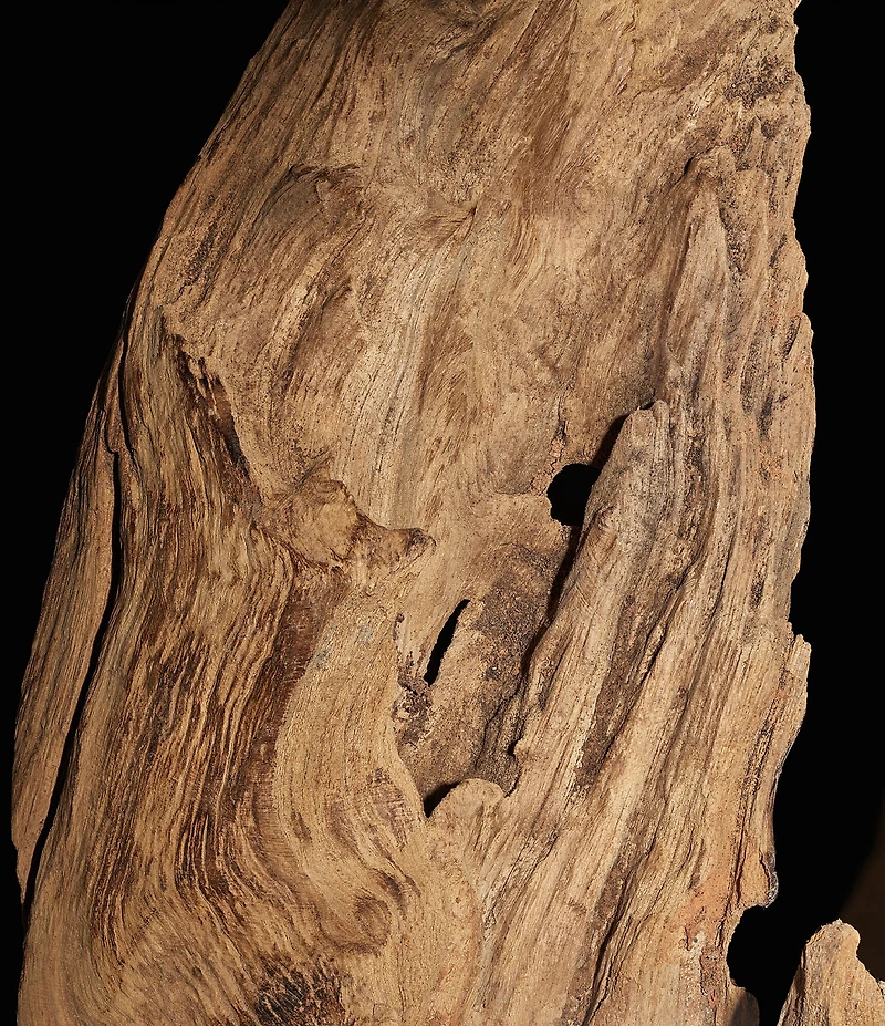 Yves Saint Laurent Le Vestiaire des Parfums Couture Edition 24 Rue de L'Universite Eau de Parfum