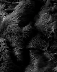 Brighton Throw Blanket