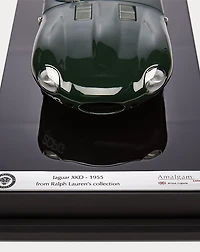 1955 Jaguar XKD