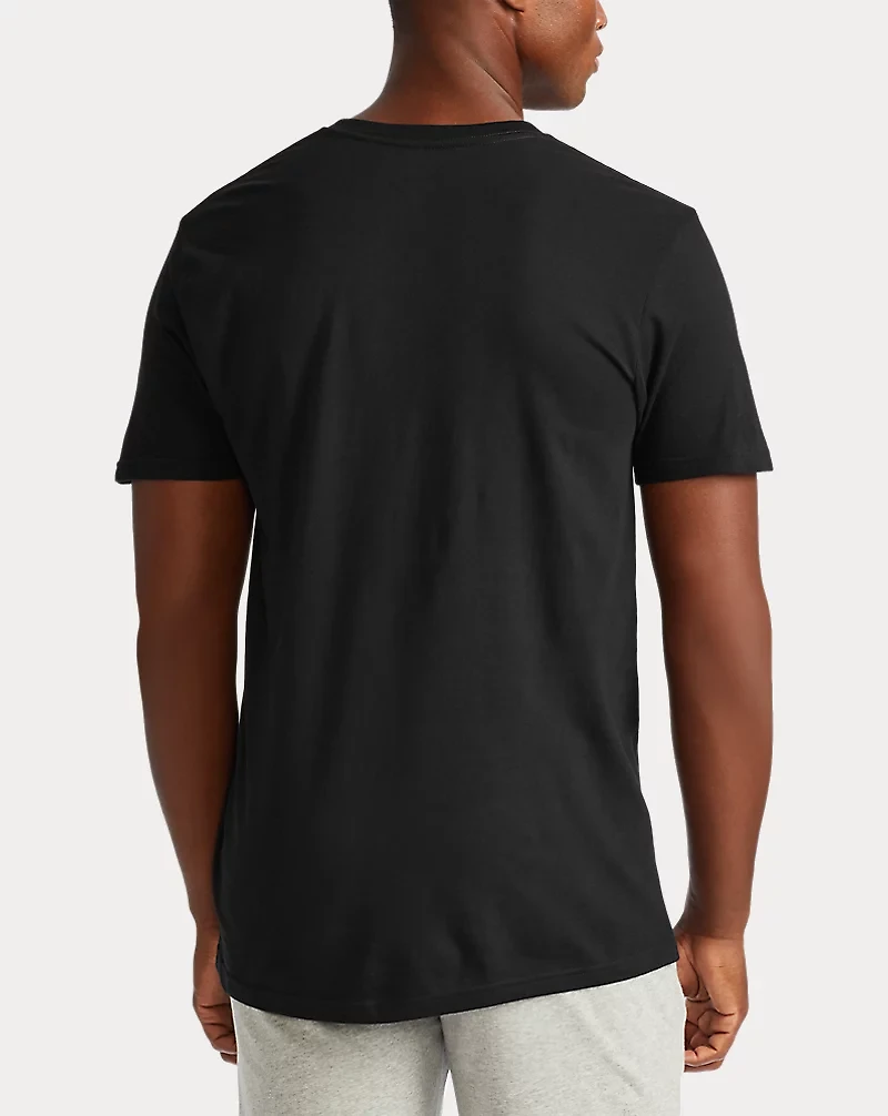 Classic Fit Wicking V-Neck 3-Pack