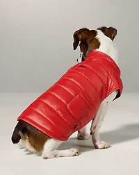 Dog Puffer Jacket