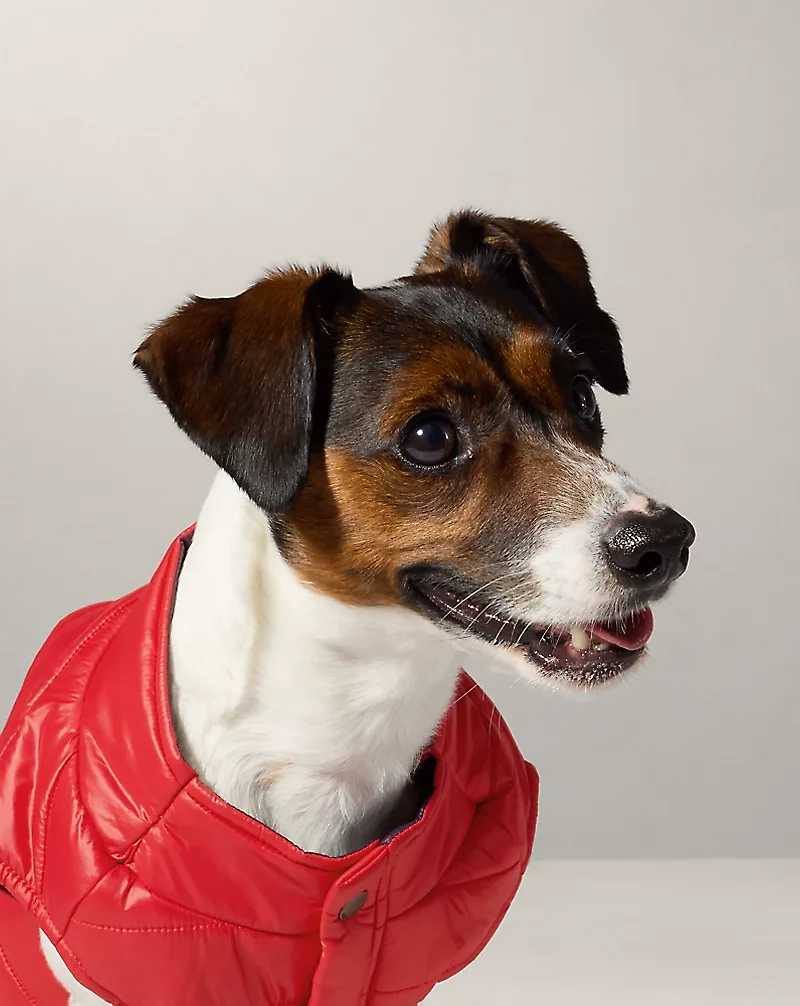 Dog Puffer Jacket